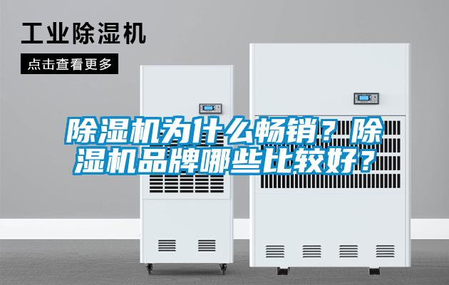 除濕機為什么暢銷？除濕機品牌哪些比較好？