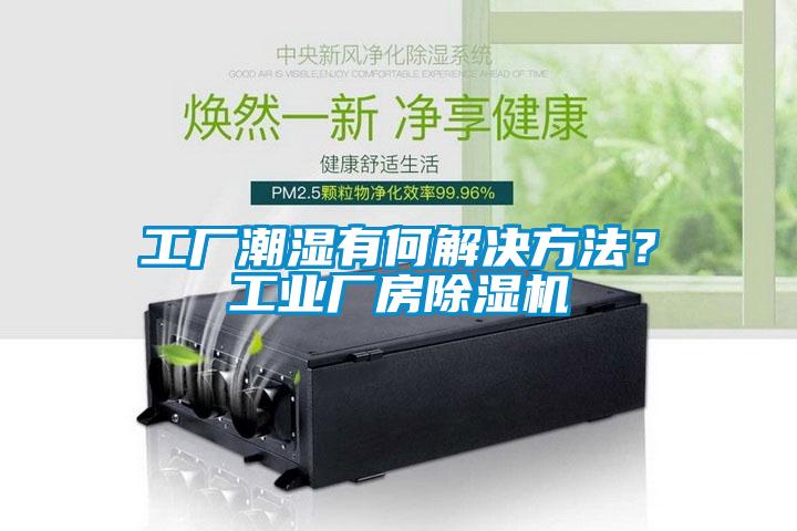 工廠潮濕有何解決方法？工業(yè)廠房除濕機