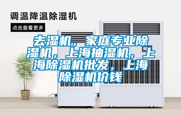 去濕機，家庭專業(yè)除濕機，上海抽濕機，上海除濕機批發(fā)，上海除濕機價錢