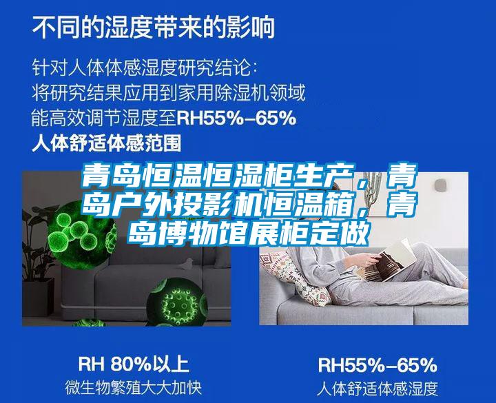 青島恒溫恒濕柜生產，青島戶外投影機恒溫箱，青島博物館展柜定做
