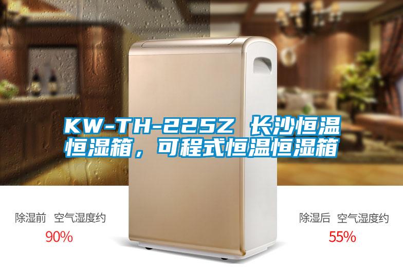 KW-TH-225Z 長沙恒溫恒濕箱，可程式恒溫恒濕箱