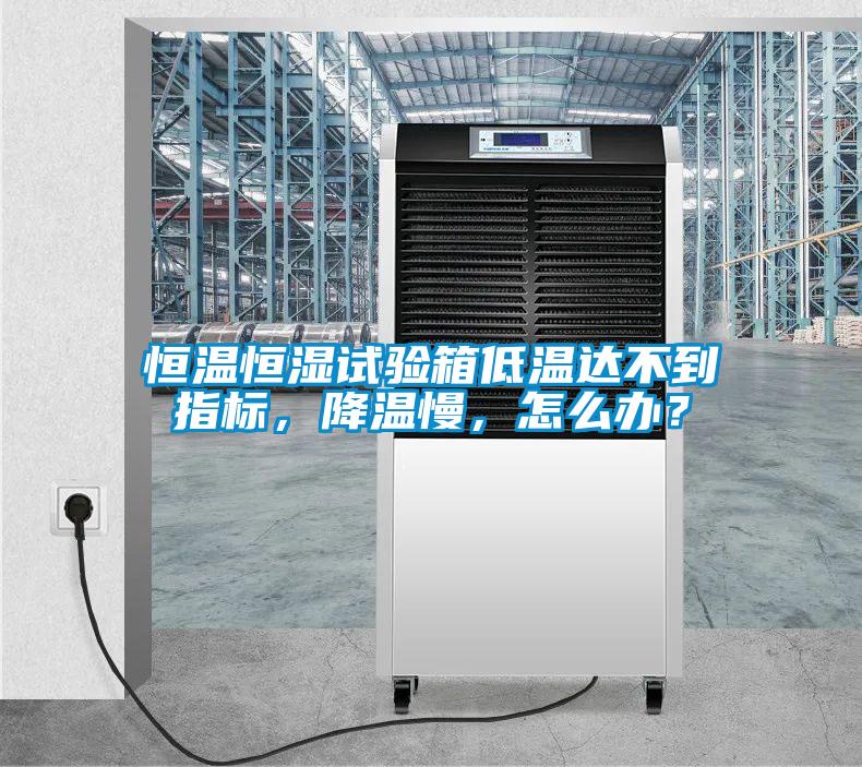 恒溫恒濕試驗箱低溫達不到指標，降溫慢，怎么辦？