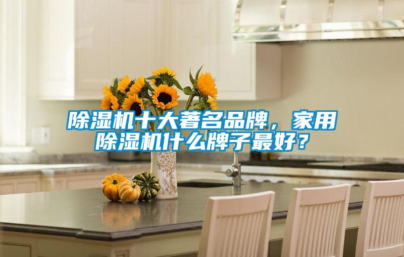 除濕機(jī)十大著名品牌，家用除濕機(jī)什么牌子最好？