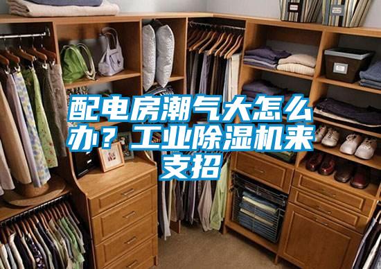 配電房潮氣大怎么辦？工業(yè)除濕機(jī)來(lái)支招