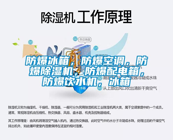 防爆冰箱，防爆空調，防爆除濕機，防爆配電箱，防爆飲水機，冰箱