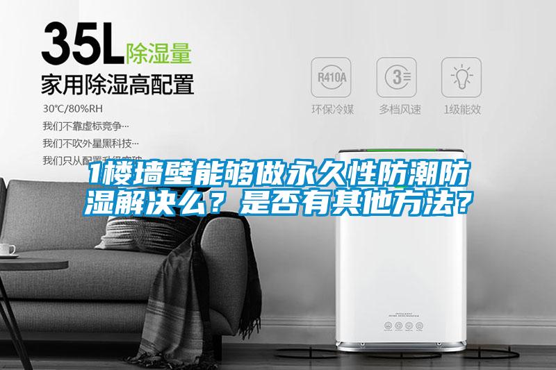 1樓墻壁能夠做永久性防潮防濕解決么？是否有其他方法？