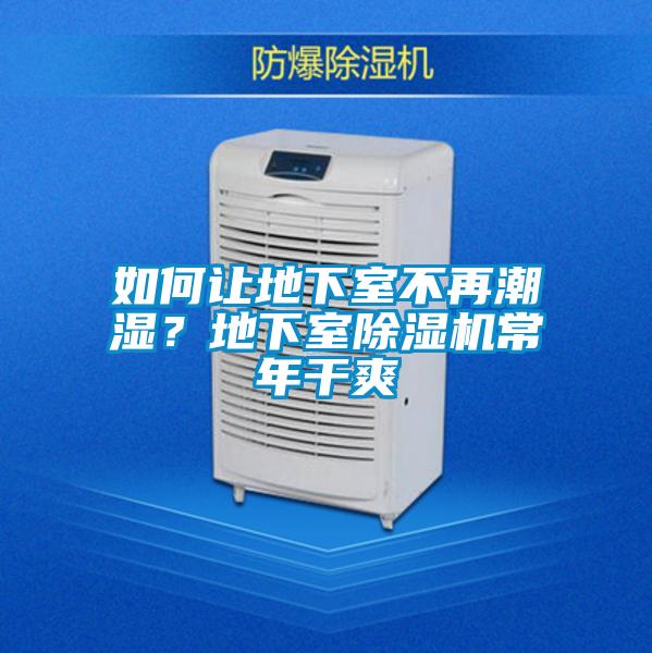如何讓地下室不再潮濕？地下室除濕機常年干爽