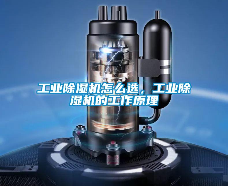 工業(yè)除濕機怎么選，工業(yè)除濕機的工作原理