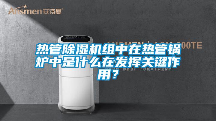 熱管除濕機組中在熱管鍋爐中是什么在發(fā)揮關鍵作用？