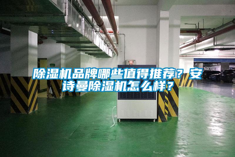 除濕機品牌哪些值得推薦？安詩曼除濕機怎么樣？
