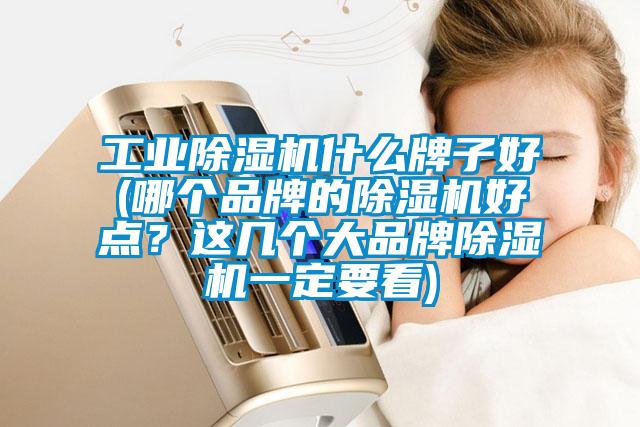 工業除濕機什么牌子好(哪個品牌的除濕機好點？這幾個大品牌除濕機一定要看)