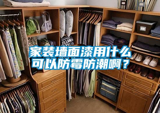 家裝墻面漆用什么可以防霉防潮啊？