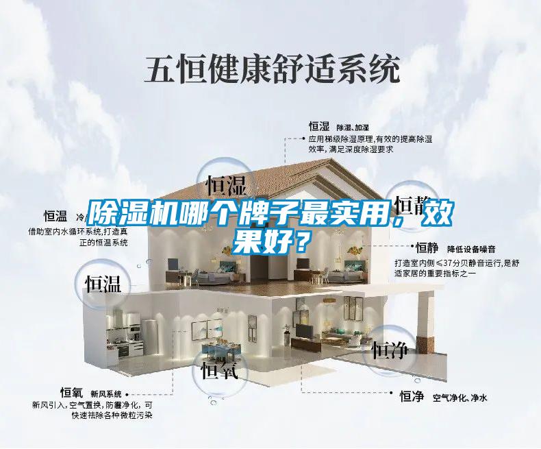 除濕機(jī)哪個(gè)牌子最實(shí)用，效果好？