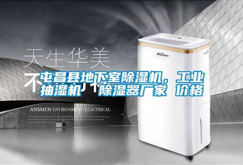 屯昌縣地下室除濕機，工業(yè)抽濕機  除濕器廠家 價格