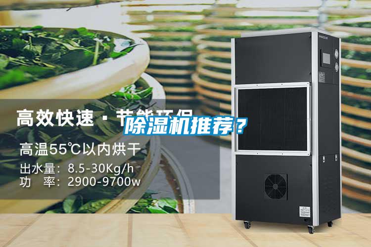 除濕機推薦？