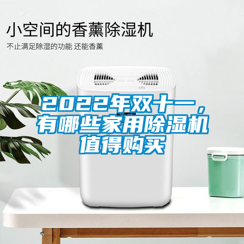 2022年雙十一，有哪些家用除濕機值得購買