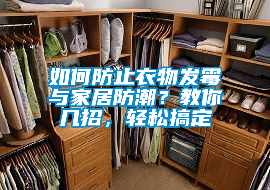 如何防止衣物發(fā)霉與家居防潮？教你幾招，輕松搞定