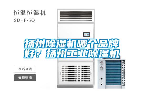 揚州除濕機哪個品牌好？揚州工業除濕機