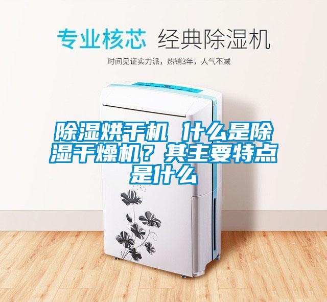 除濕烘干機 什么是除濕干燥機？其主要特點是什么
