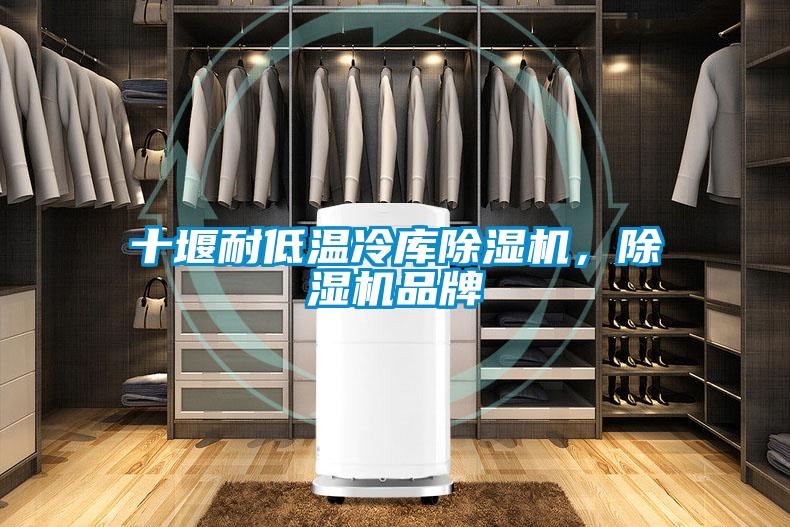 十堰耐低溫冷庫除濕機，除濕機品牌