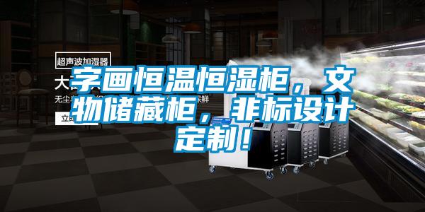 字畫恒溫恒濕柜，文物儲藏柜，非標(biāo)設(shè)計定制！