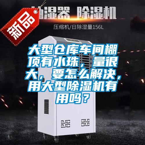 大型倉(cāng)庫(kù)車間棚頂有水珠，量很大，要怎么解決，用大型除濕機(jī)有用嗎？