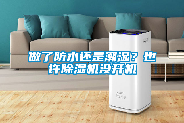 做了防水還是潮濕？也許除濕機沒開機