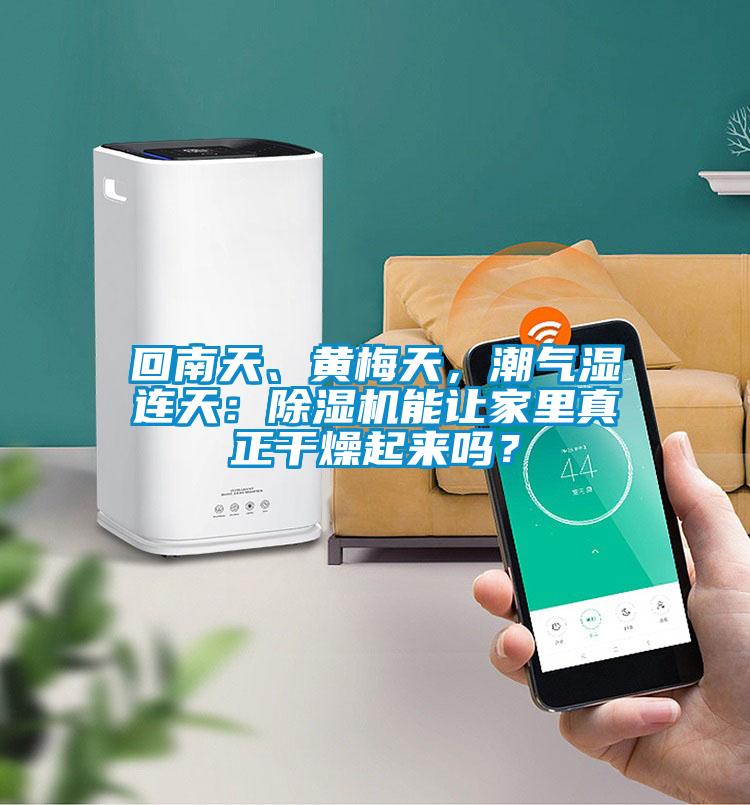 回南天、黃梅天，潮氣濕連天：除濕機能讓家里真正干燥起來嗎？
