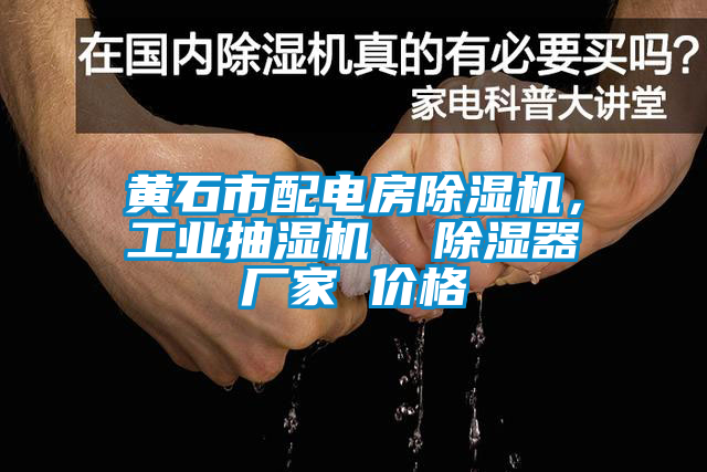 黃石市配電房除濕機，工業(yè)抽濕機  除濕器廠家 價格