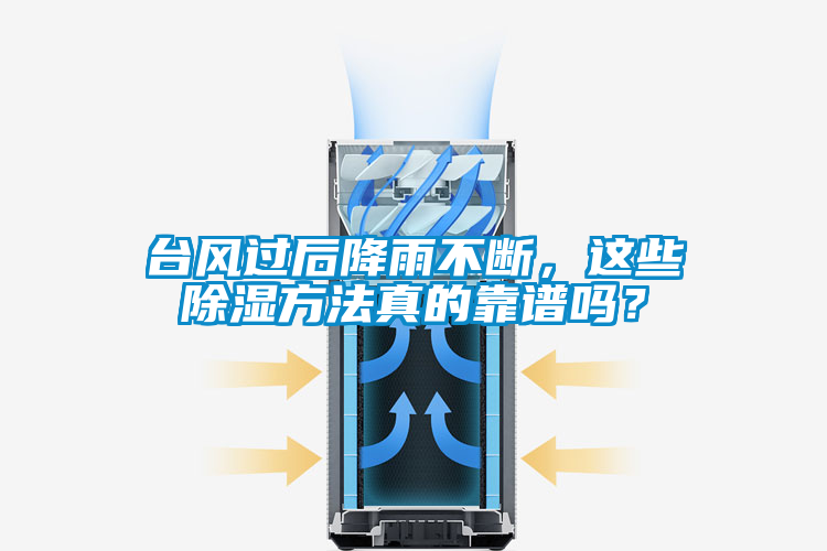 臺(tái)風(fēng)過(guò)后降雨不斷，這些除濕方法真的靠譜嗎？