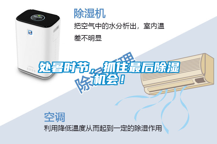處暑時節(jié)，抓住最后除濕機會！