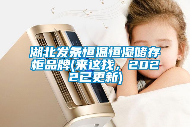 湖北發(fā)條恒溫恒濕儲存柜品牌(來這找，2022已更新)
