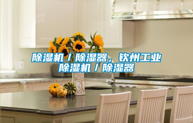 除濕機／除濕器，欽州工業除濕機／除濕器