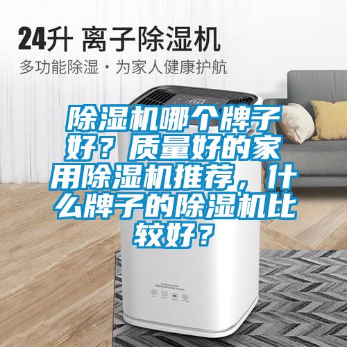 除濕機哪個牌子好？質量好的家用除濕機推薦，什么牌子的除濕機比較好？