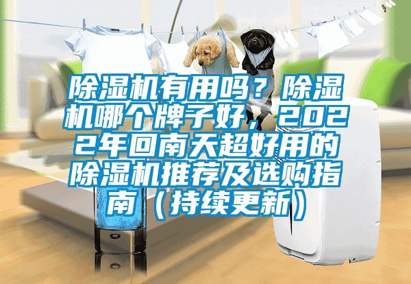 除濕機有用嗎？除濕機哪個牌子好，2022年回南天超好用的除濕機推薦及選購指南（持續更新）