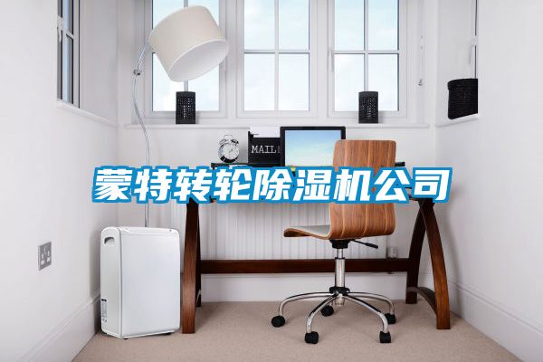 蒙特轉(zhuǎn)輪除濕機公司