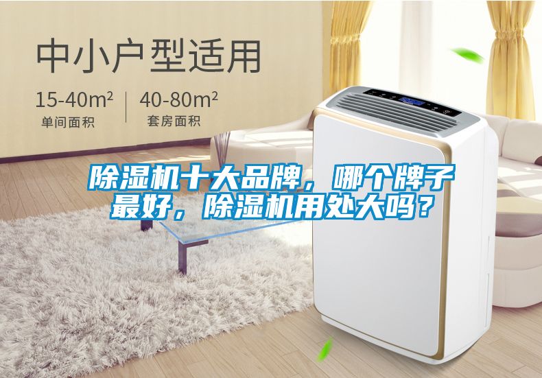 除濕機(jī)十大品牌，哪個牌子最好，除濕機(jī)用處大嗎？