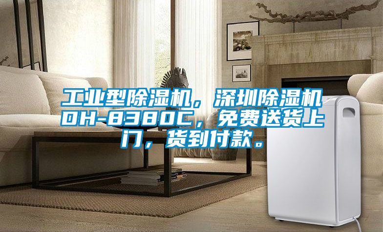 工業型除濕機，深圳除濕機DH-8380C，免費送貨上門，貨到付款。