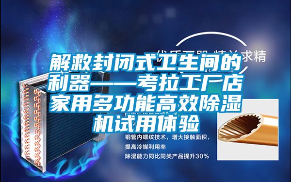 解救封閉式衛(wèi)生間的利器——考拉工廠(chǎng)店家用多功能高效除濕機(jī)試用體驗(yàn)