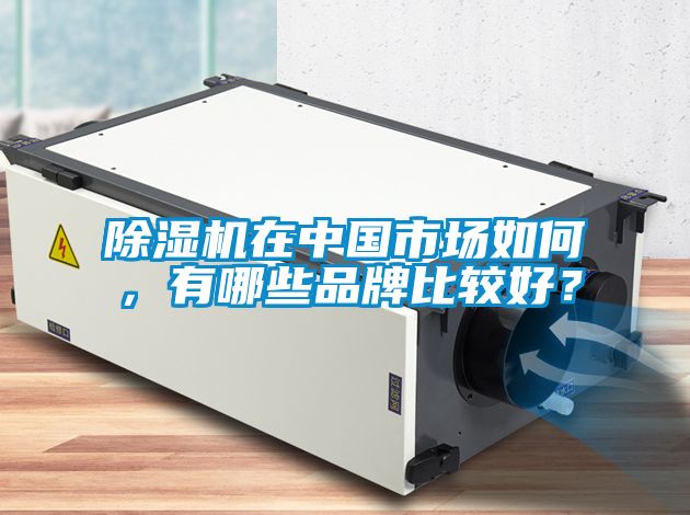 除濕機在中國市場如何，有哪些品牌比較好？