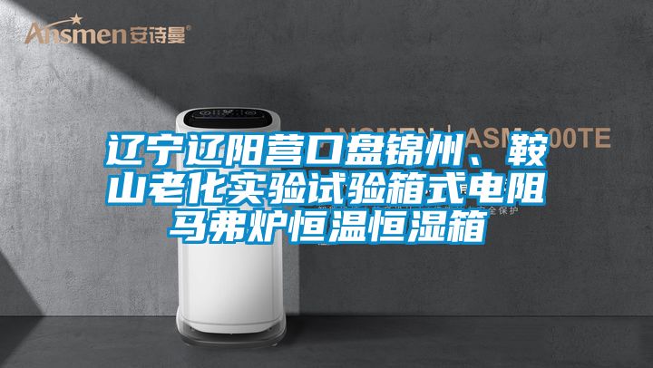 遼寧遼陽營口盤錦州、鞍山老化實驗試驗箱式電阻馬弗爐恒溫恒濕箱