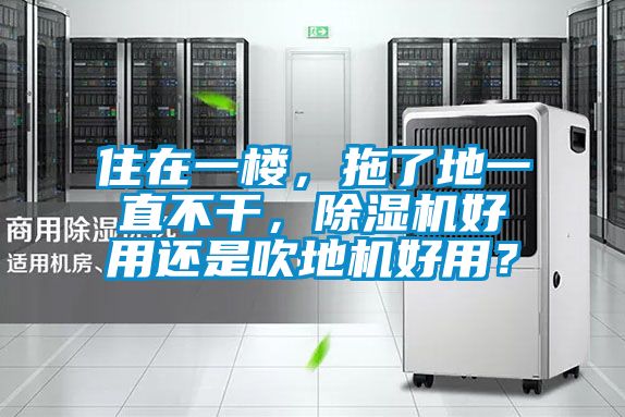 住在一樓，拖了地一直不干，除濕機好用還是吹地機好用？