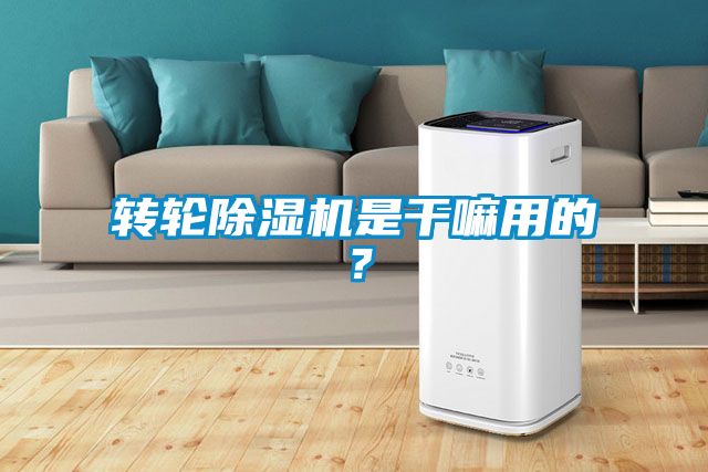 轉(zhuǎn)輪除濕機是干嘛用的？