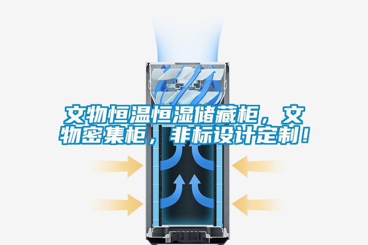 文物恒溫恒濕儲藏柜，文物密集柜，非標(biāo)設(shè)計定制！