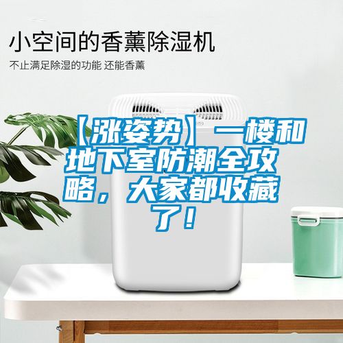 【漲姿勢(shì)】一樓和地下室防潮全攻略，大家都收藏了！