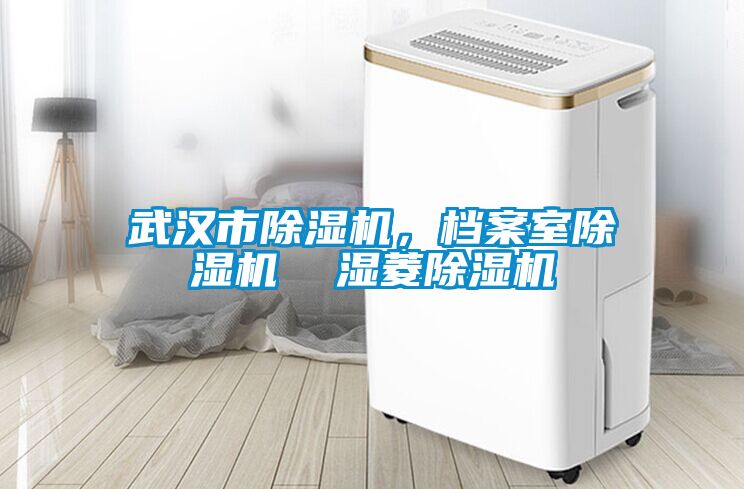 武漢市除濕機，檔案室除濕機  濕菱除濕機