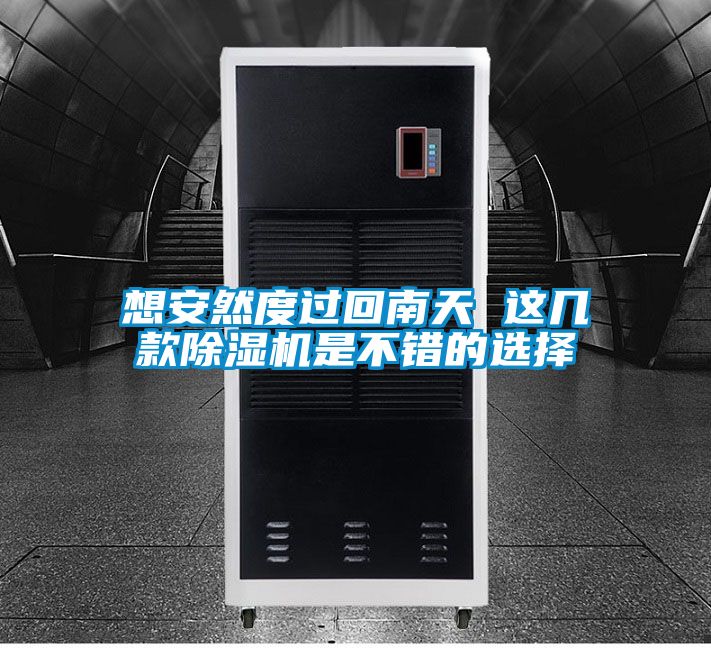 想安然度過回南天 這幾款除濕機(jī)是不錯的選擇