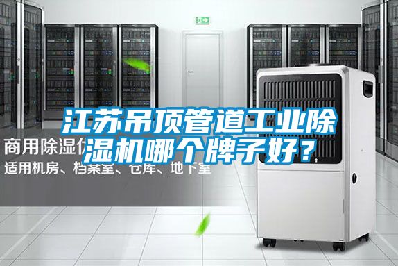 江蘇吊頂管道工業(yè)除濕機(jī)哪個(gè)牌子好？