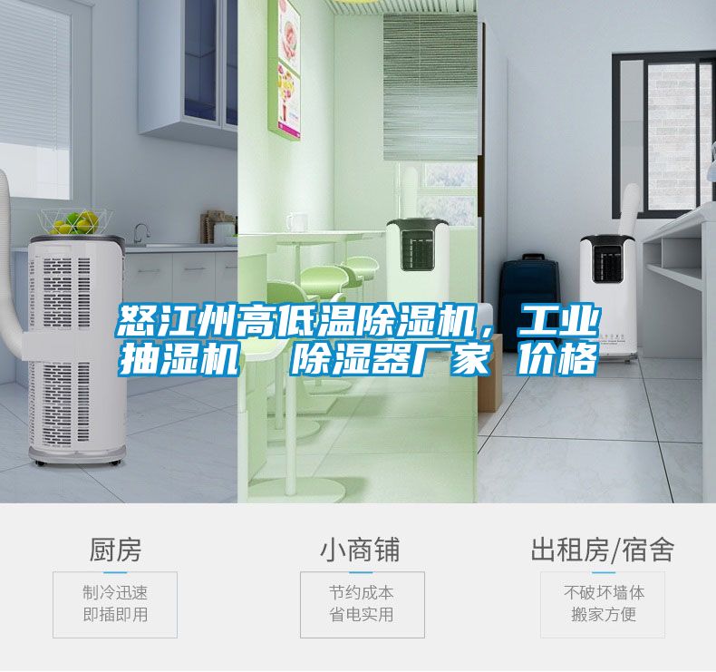 怒江州高低溫除濕機，工業抽濕機  除濕器廠家 價格