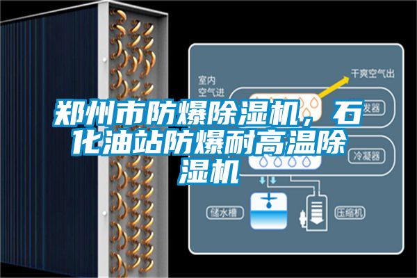 鄭州市防爆除濕機(jī)，石化油站防爆耐高溫除濕機(jī)